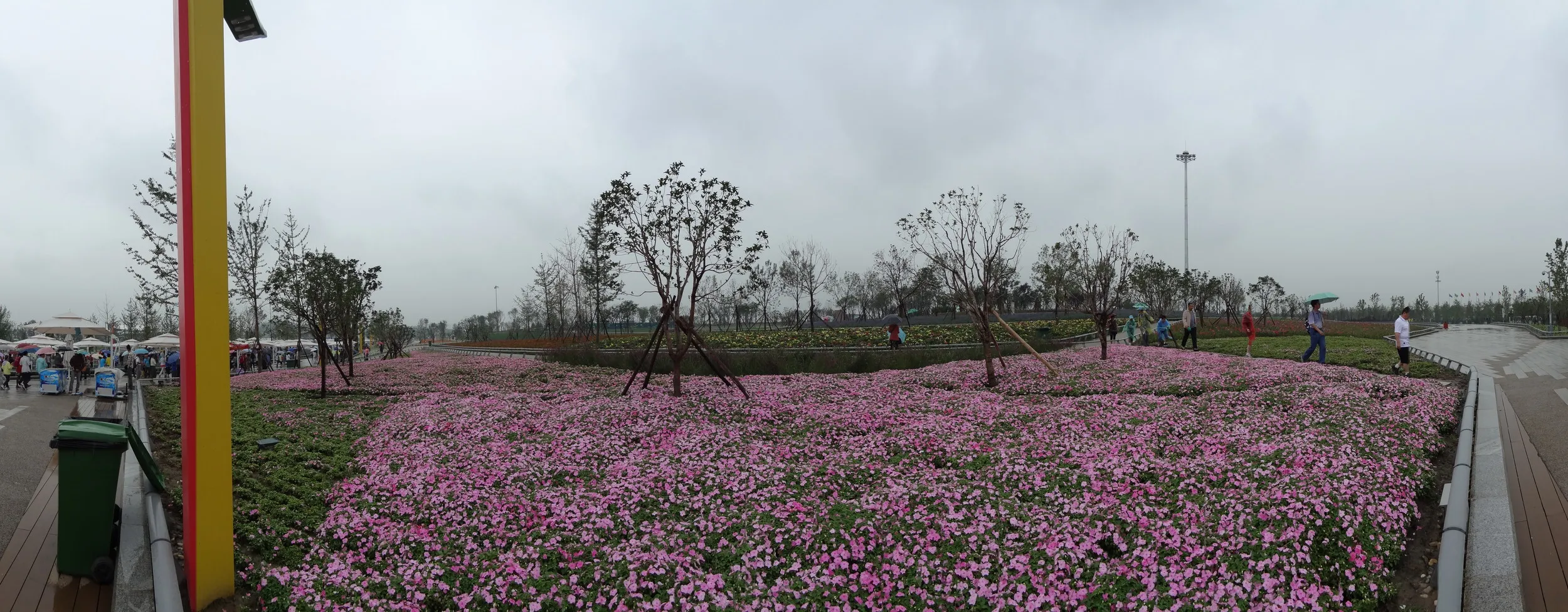 陸橋付近の花壇のパノラマ写真