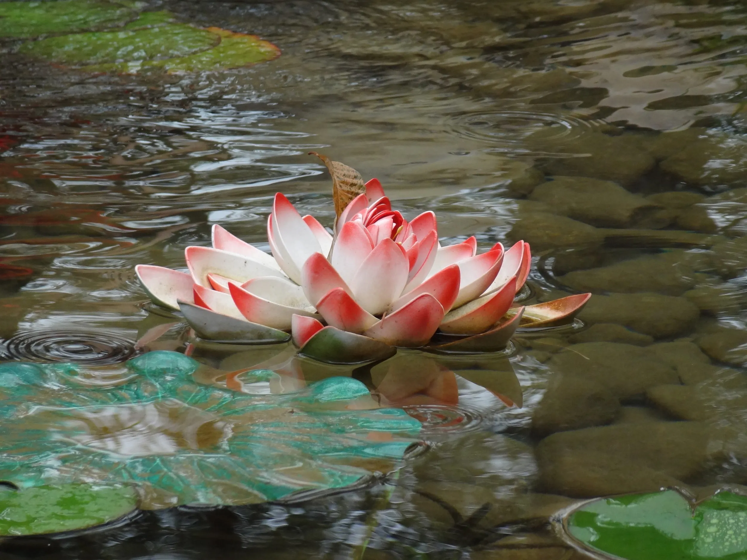 蓮の造花の装飾