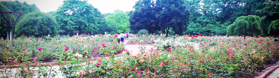 上海植物園観光